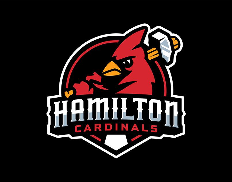 Hamilton Cardinals vs Kitchener Panthers