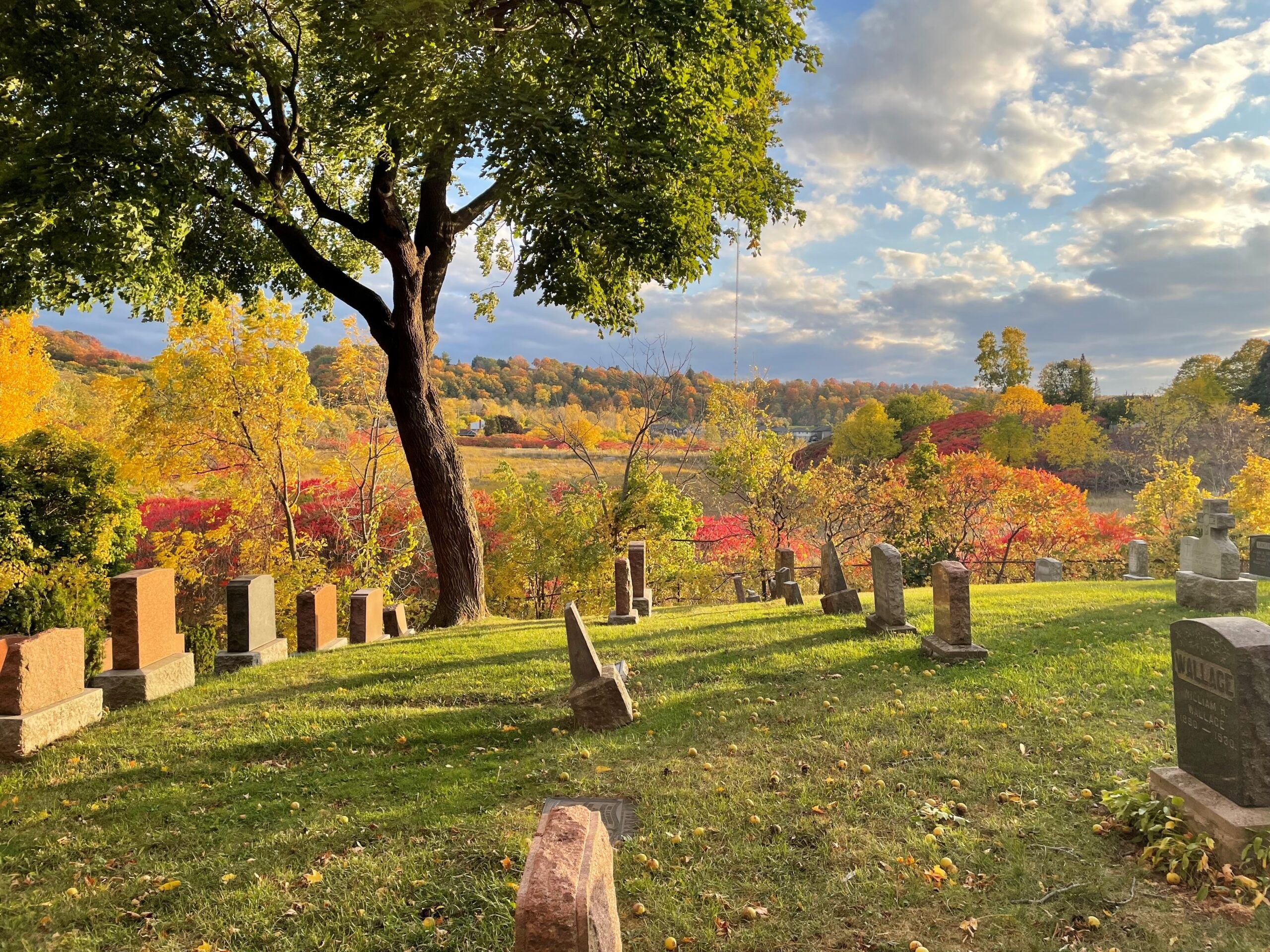 Stoney Creek Cemetery Harvest Tour