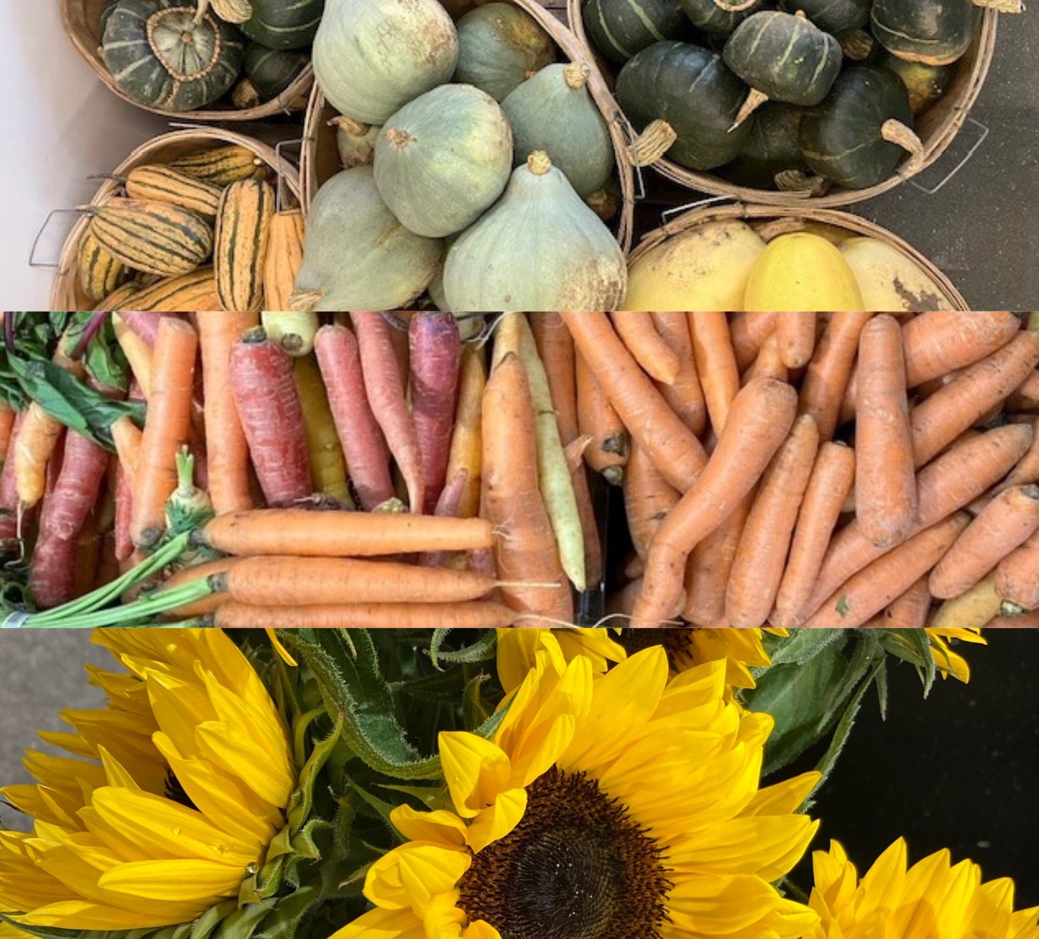 Hamilton Farmers’ Market Harvest Festival 2026