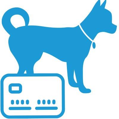 Pet Safety