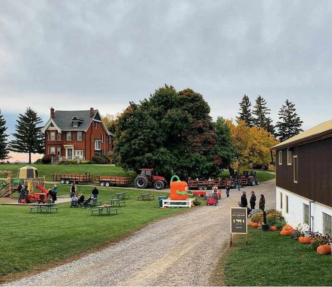 Dyment’s Pumpkin Patch Festival 2026