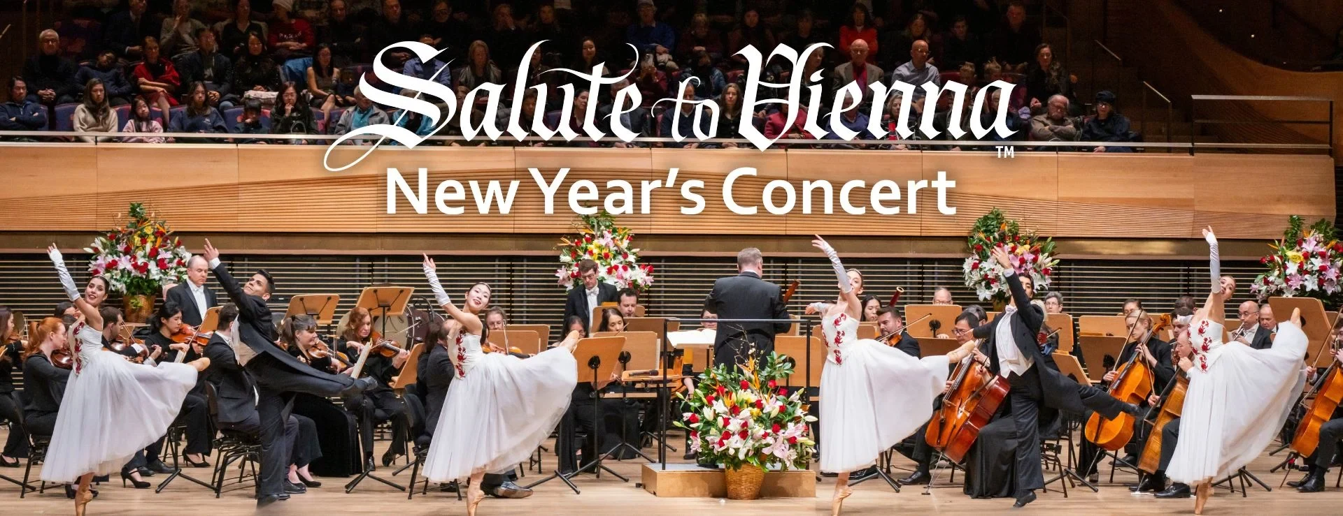 Salute to Vienna