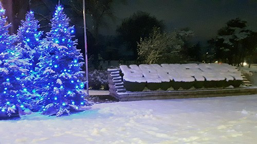 Tree of Remembrance / Tribute of Lights