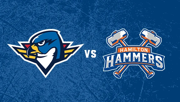 HAMILTON HAMMERS VS. SPRINGFIELD THUNDERBIRDS
