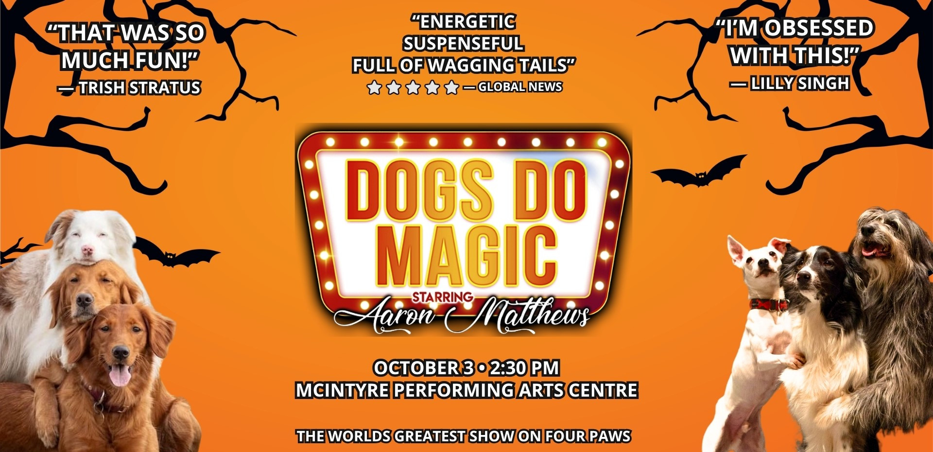 Canine Circus Presents: Dogs Do Magic