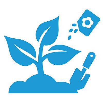 Sow, Grow, Harvest: Seed Saving Basics