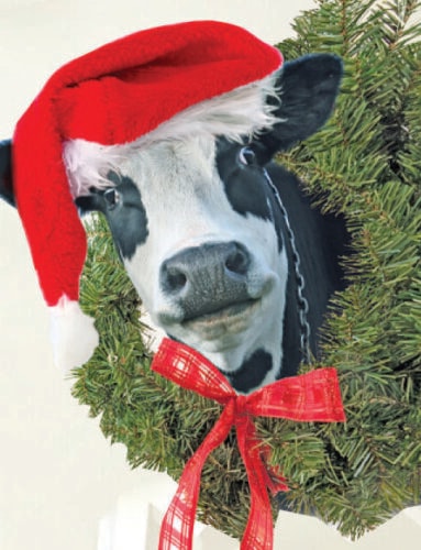 Annual Dairy Farm Open House
