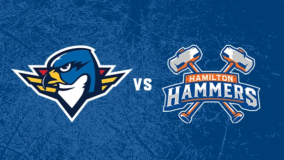 HAMILTON HAMMERS VS. SPRINGFIELD THUNDERBIRDS