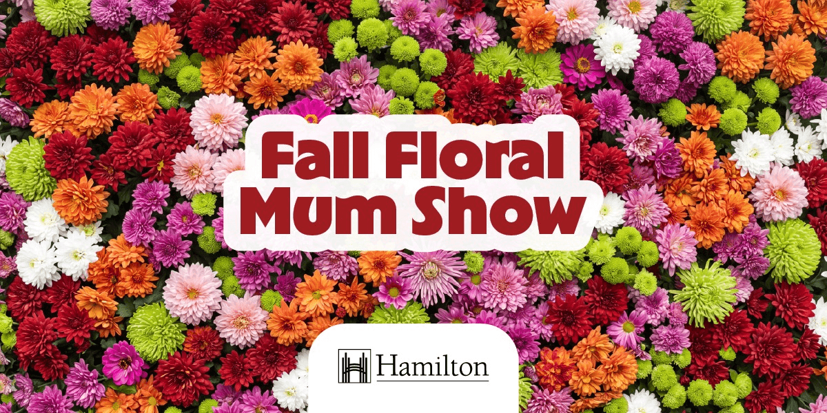 Boots and Blooms — Mum Show After Dark