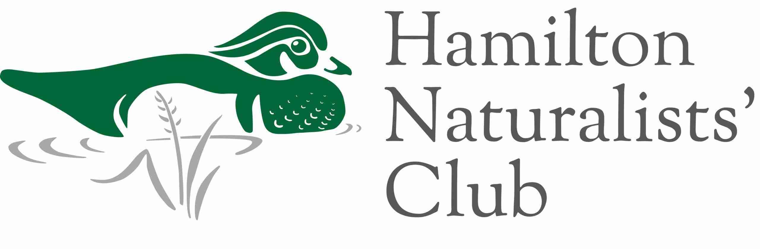 Volunteer at the Nature Sanctuary