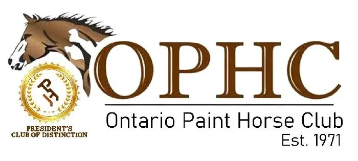 Ontario Paint Horse