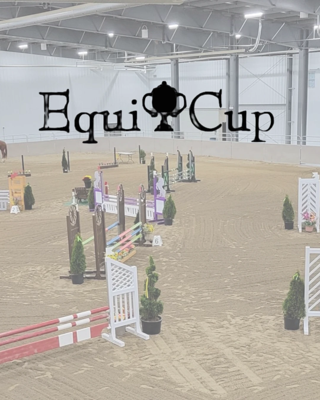 “Close to Christmas” Jumper Show and Equi🏆Cup Championship Phase 2