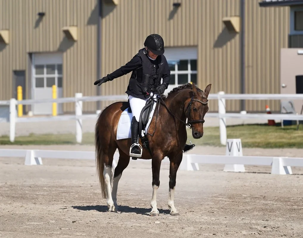 Glanbrook Cadora