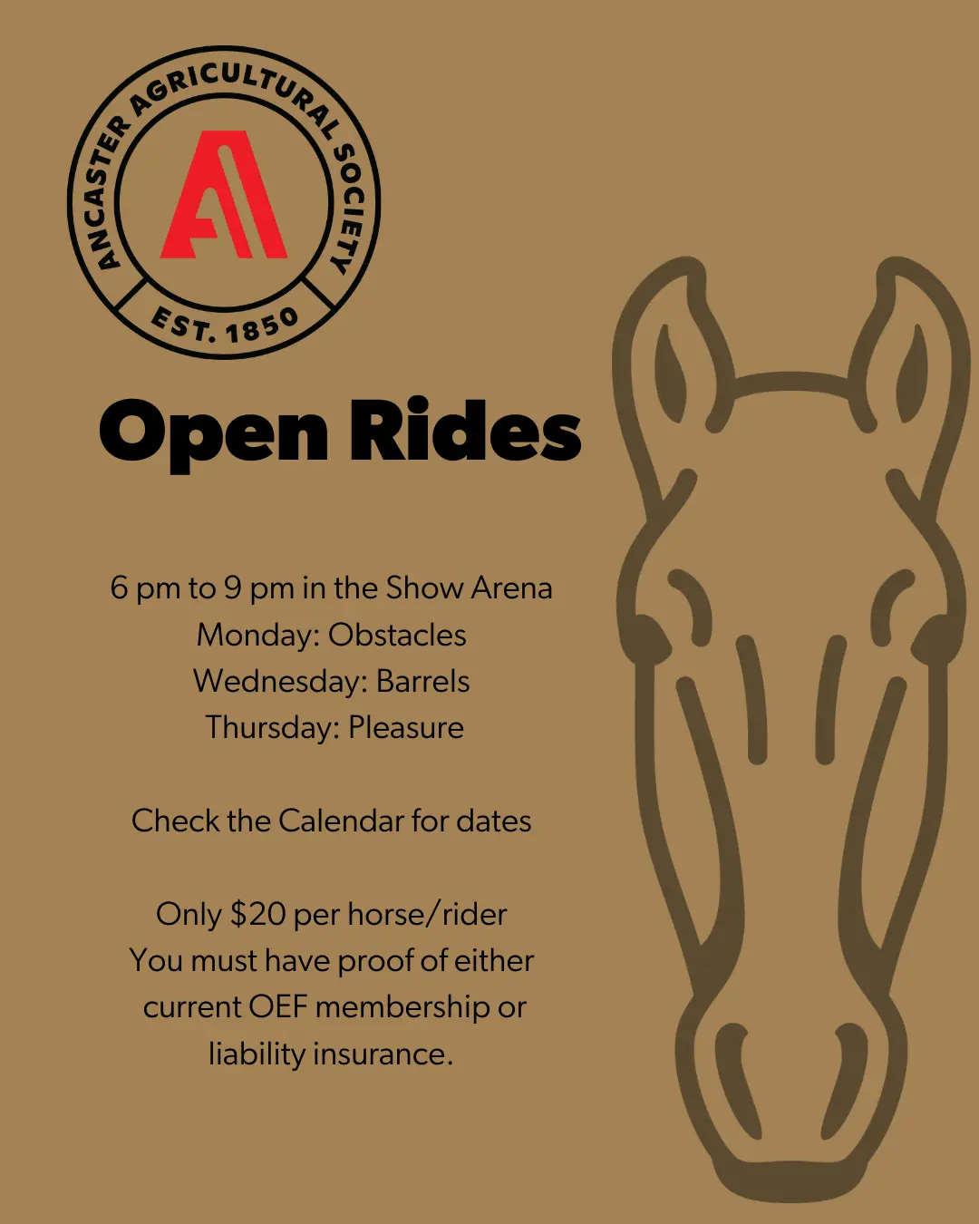 Open Ride - Barrels