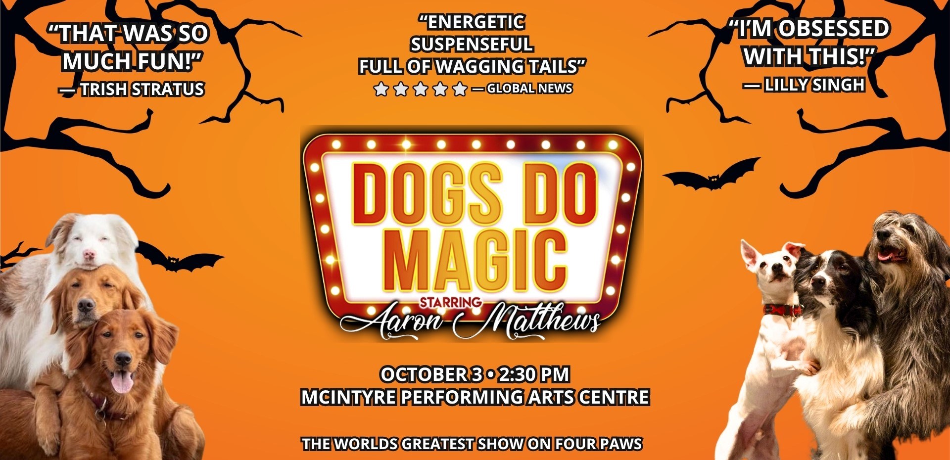 Canine Circus Presents: Dogs Do Magic