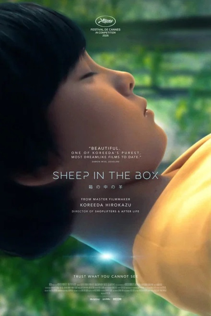Sheep in the Box
