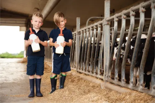 Evening Guided Farm Tour