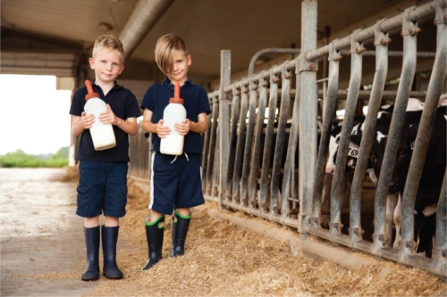 Evening Guided Farm Tour