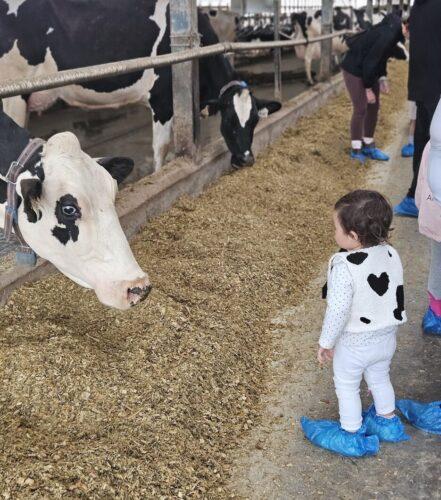 Guided Farm Tour