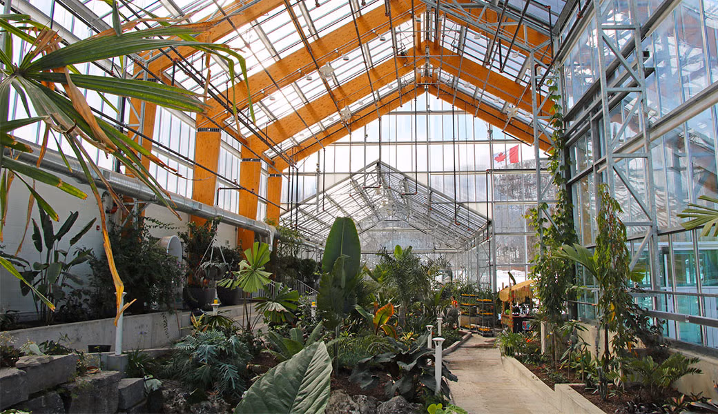 Hamilton Fall Garden & Mum Show 2026