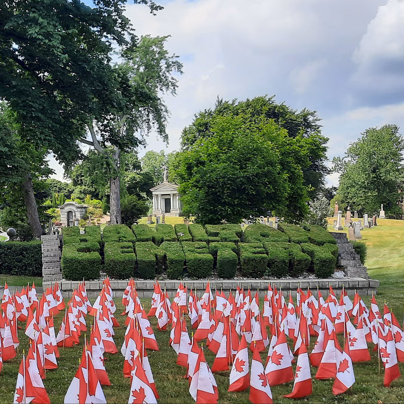 Hamilton Cemeteries Field of Flags