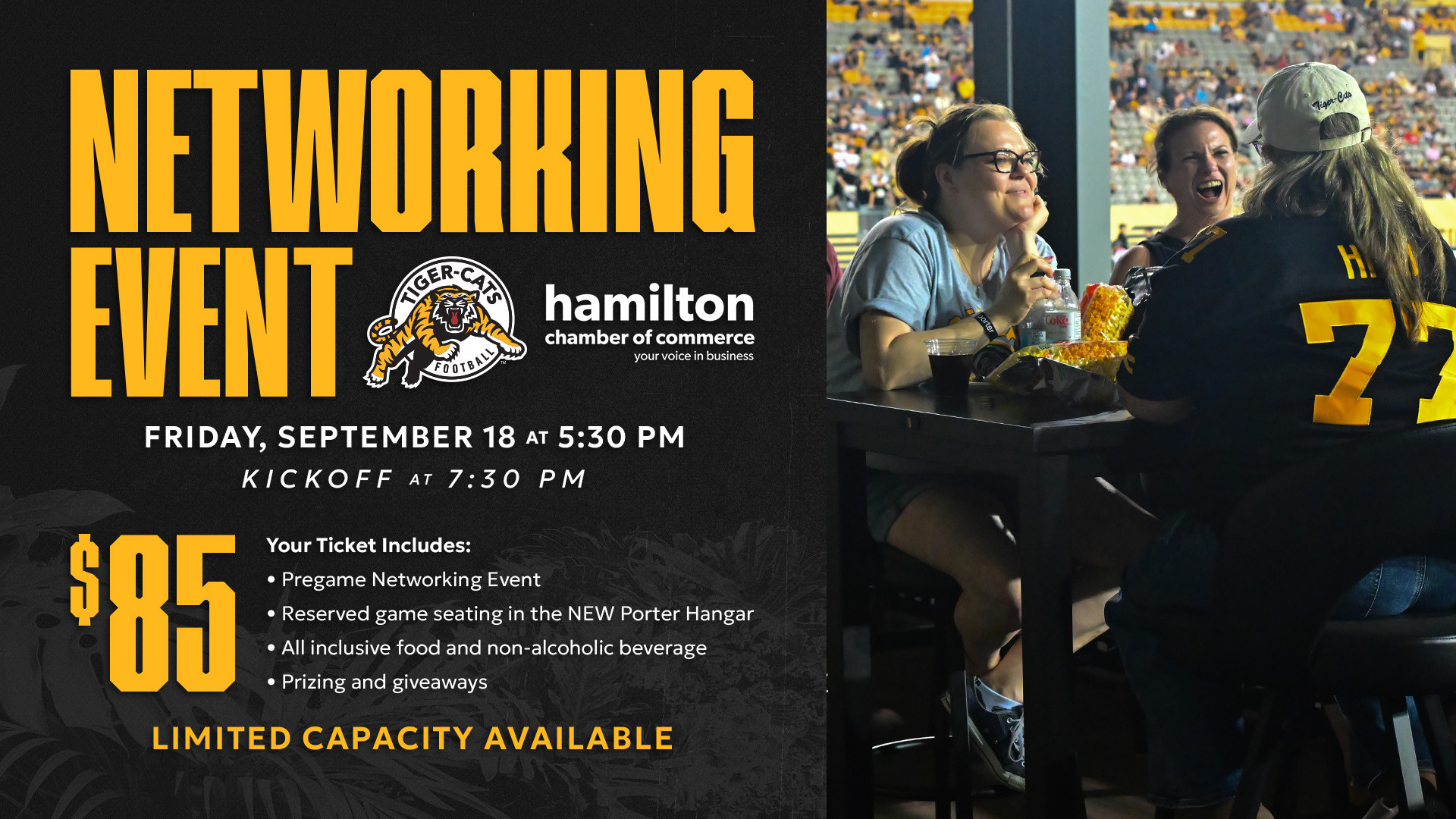 Networking Night @ the Tiger-Cats Game